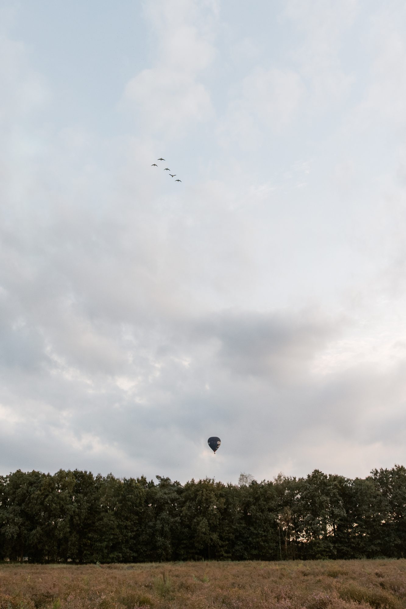 Luchtballon boven de bosrand bij de heide